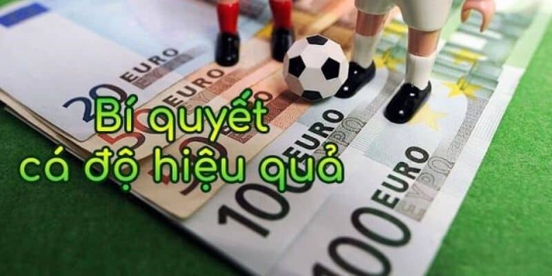 Mẹo cược để người hâm mộ ăn tiền nhà cái